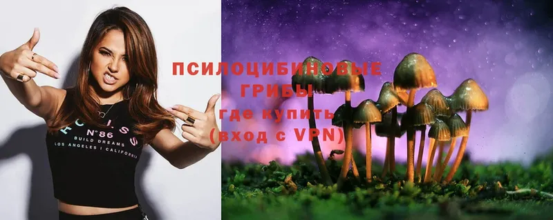 Галлюциногенные грибы Magic Shrooms  Ревда 